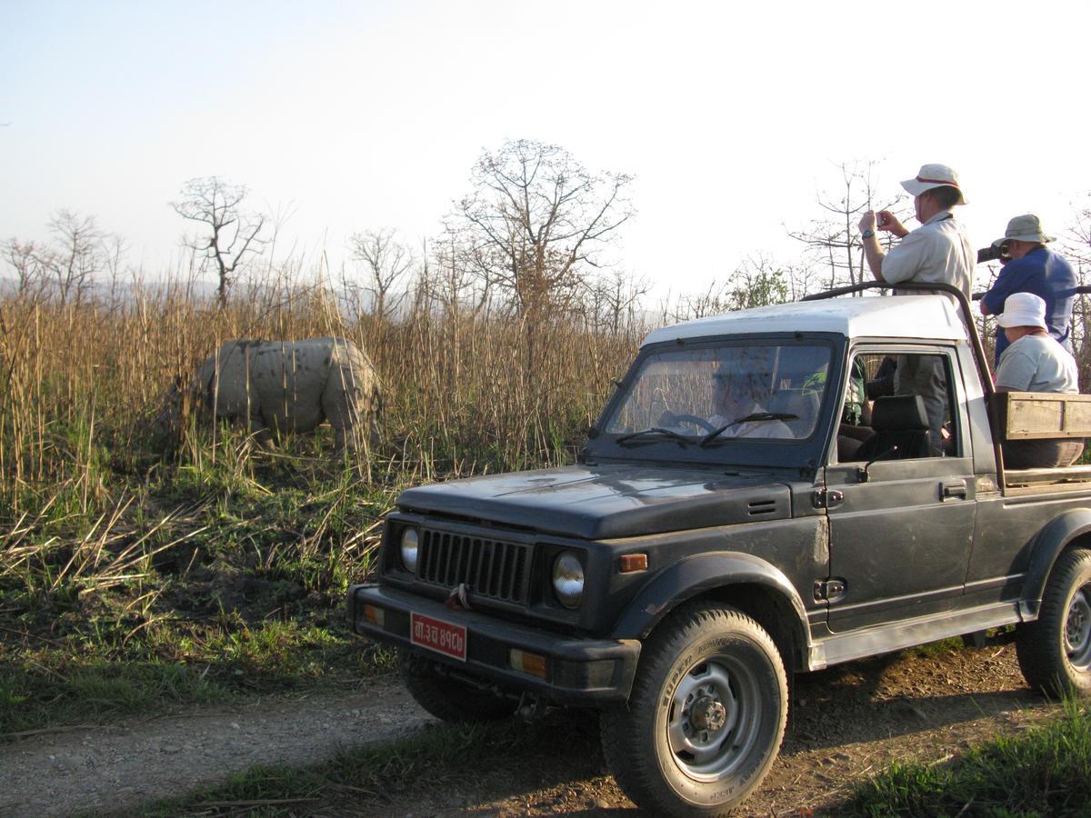 Rhino Land Jungle Lodge Саураха Екстер'єр фото
