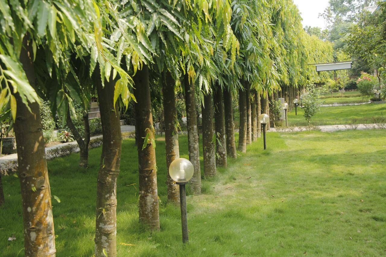 Rhino Land Jungle Lodge Саураха Екстер'єр фото