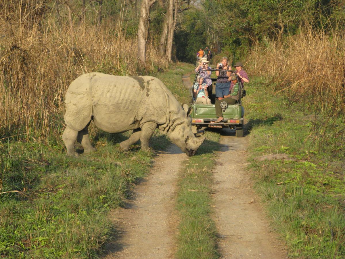 Rhino Land Jungle Lodge Саураха Екстер'єр фото