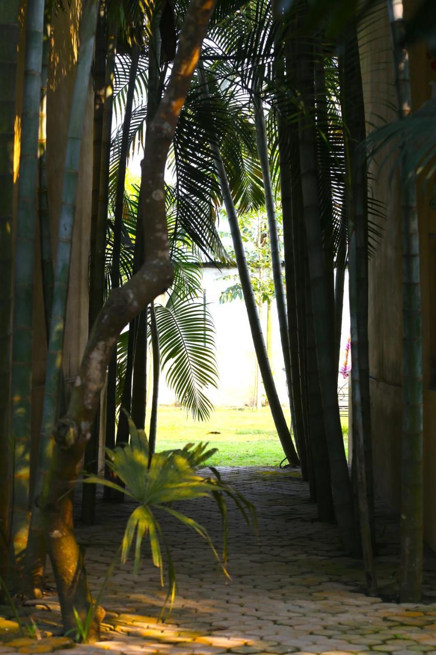 Rhino Land Jungle Lodge Саураха Екстер'єр фото